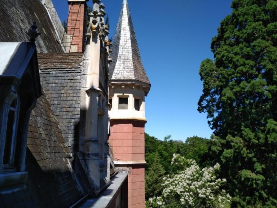 Chateau De La Vernede, La Grande Vernede Saint-Rémy-de-Chargnat Exteriér fotografie